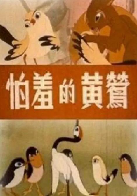 tk视频