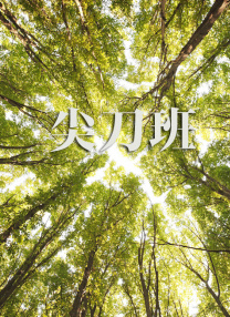 果冻蜜桃天美麻豆精东传媒